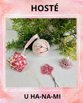 HA-NA-MI mi postupem let nepřinesla jen nový směr v pracovním životě… Ale taky jsem díky ní získala nové přátele… A s...